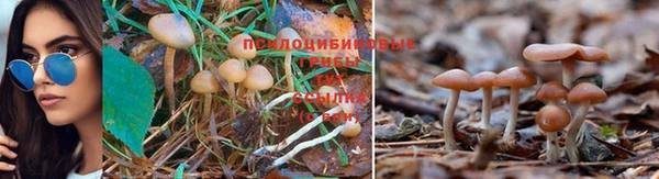 прущая мука Белокуриха