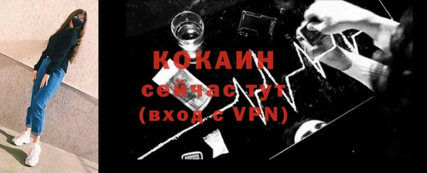 молекула духа Белоозёрский