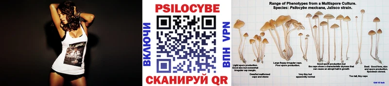 даркнет телеграм  купить   Очёр  Псилоцибиновые грибы GOLDEN TEACHER 